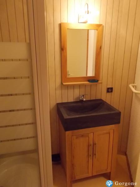 Location Mottaret Annonce 2739-6